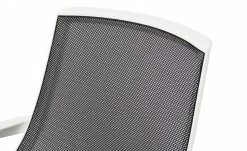 Bürodrehstuhl Biese -Stühle Verkäufe 2022 10358153 9 201811271511