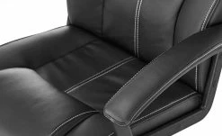 Chefsessel Bibert -Stühle Verkäufe 2022 10359229 7 201902151059