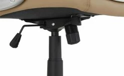 Chefsessel beige & weiß Weißach 2 | Creme 9 Chefsessel beige & weiß Weißach 2 | Creme -Stühle Verkäufe 2022 10359736 8 201811271541