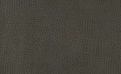 Freischwinger 1961 | Braun -Stühle Verkäufe 2022 11303203 1 201811271509