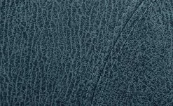 Polsterstuhl Top-Chairs | Blau Kernbuche -Stühle Verkäufe 2022 11303224 2 201811271528