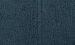 Polsterschwingstuhl Top Chairs | Blau -Stühle Verkäufe 2022 11303232 7 201811271535