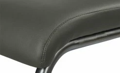 Wohnwert Freischwinger Paavo | Fango (Anthrazit) Nein -Stühle Verkäufe 2022 11309196 5 202009282248