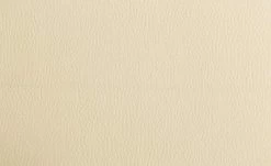 Polsterstuhl Gattuso | Creme 4 Polsterstuhl Gattuso | Creme -Stühle Verkäufe 2022 11318473 2 201811271451