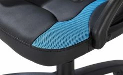 Kinder Gaming Chair newbie_b | Schwarz / Blau 11 Kinder Gaming Chair newbie_b | Schwarz / Blau -Stühle Verkäufe 2022 11350163 9 201811271605