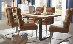 Schwingstuhl Tamme | Cognac-Braun silberfarben -Stühle Verkäufe 2022 12301169 3 201811271514