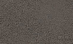 Polsterstuhl Top-Chairs | Graphit (Grau) Eiche -Stühle Verkäufe 2022 12302417 1 201811271509