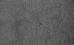 Polsterstuhl 2er Set Buche anthrazit Marlon -Stühle Verkäufe 2022 12302880 5 201811271507