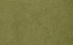 Polsterstuhl 2er Set Buche kiwi Marlon 4 Polsterstuhl 2er Set Buche kiwi Marlon -Stühle Verkäufe 2022 12302883 2 201811271507