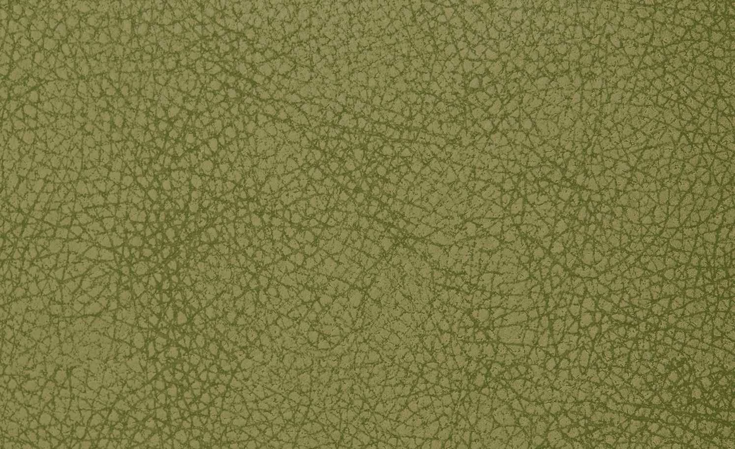 Polsterstuhl 2er Set Buche kiwi Marlon Polsterstuhl 2er Set Buche kiwi Marlon -Stühle Verkäufe 2022 12302883 2 201811271507