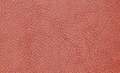 Polsterstuhl 2er Set Buche rot Marlon -Stühle Verkäufe 2022 12302884 2 201811271507