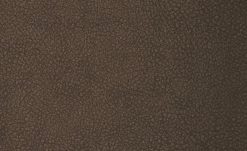 Polsterstuhl 2er Set Buche braun Marc 5 Polsterstuhl 2er Set Buche braun Marc -Stühle Verkäufe 2022 12302913 3 201811271507