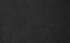 Polsterstuhl 2er Set Buche anthrazit Marc -Stühle Verkäufe 2022 12302914 4 201811271507