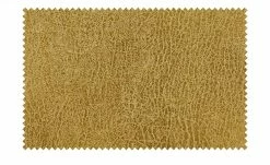 Polsterstuhl Top-Chairs | Gelb Kernbuche 7 Polsterstuhl Top-Chairs | Gelb Kernbuche -Stühle Verkäufe 2022 12307012 6 201811271528