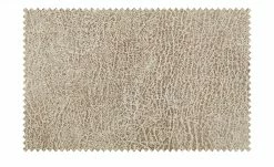 Polsterstuhl Top-Chairs | Natur (Beige) Kernbuche -Stühle Verkäufe 2022 12307013 1 201811271527