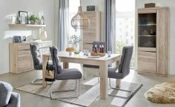 Schwingstuhl Tamme | Grau silberfarben -Stühle Verkäufe 2022 12308630 10 202209170030