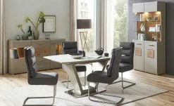 Schwingstuhl Tamme | Grau silberfarben -Stühle Verkäufe 2022 12308630 7 201907232252