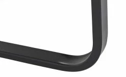 Schwingstuhl Hubertus -Stühle Verkäufe 2022 12309231 4 201902082157