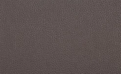 uno Freischwinger Letitia | Braun Leder -Stühle Verkäufe 2022 13314406 1 201811271501