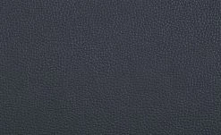 uno Freischwinger Letitia | Nachtblau Leder 4 uno Freischwinger Letitia | Nachtblau Leder -Stühle Verkäufe 2022 13314410 2 201811271510