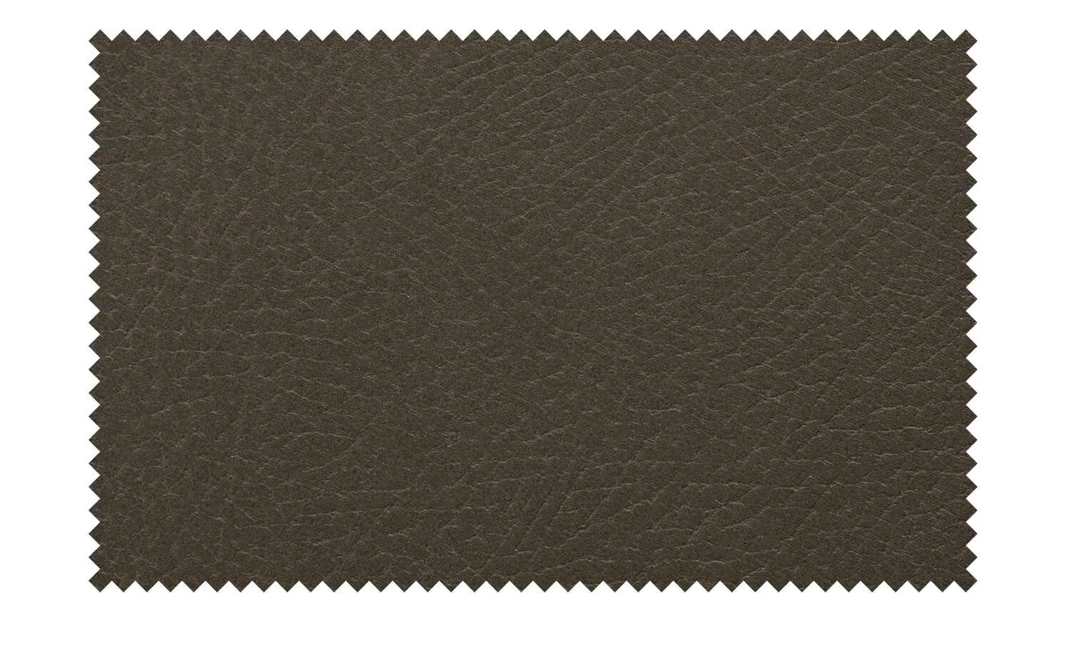 Schwingstuhl Pina Schwingstuhl Pina | Braun -Stühle Verkäufe 2022 14304965 6 202012231314