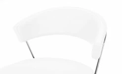 Connubia Kufenstuhl Leder New York | Schneeweiß 6 Connubia Kufenstuhl Leder New York | Schneeweiß -Stühle Verkäufe 2022 14305787 5 202112022232