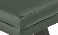 Berger & Rath Leder-Polsterstuhl Arcu | Verde (Grün) Anthrazit -Stühle Verkäufe 2022 14307143 7 202101262258