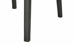 Berger & Rath Polsterstuhl Certo | Creme Anthrazit Ja 5 Berger & Rath Polsterstuhl Certo | Creme Anthrazit Ja -Stühle Verkäufe 2022 14307273 3 202105181235