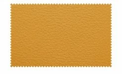 Berger & Rath Kufenstuhl Leder Lanx | Mustard (Senfgelb) -Stühle Verkäufe 2022 14307334 8 202102152236