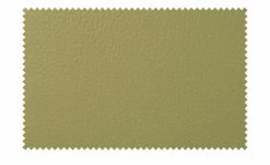 Berger & Rath Kufenstuhl Leder Lanx | Hellgrün -Stühle Verkäufe 2022 14307339 8 202102152236