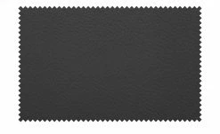 uno Leder-Freischwinger Sammy | Schwarz 5 uno Leder-Freischwinger Sammy | Schwarz -Stühle Verkäufe 2022 14307589 2 202208311235