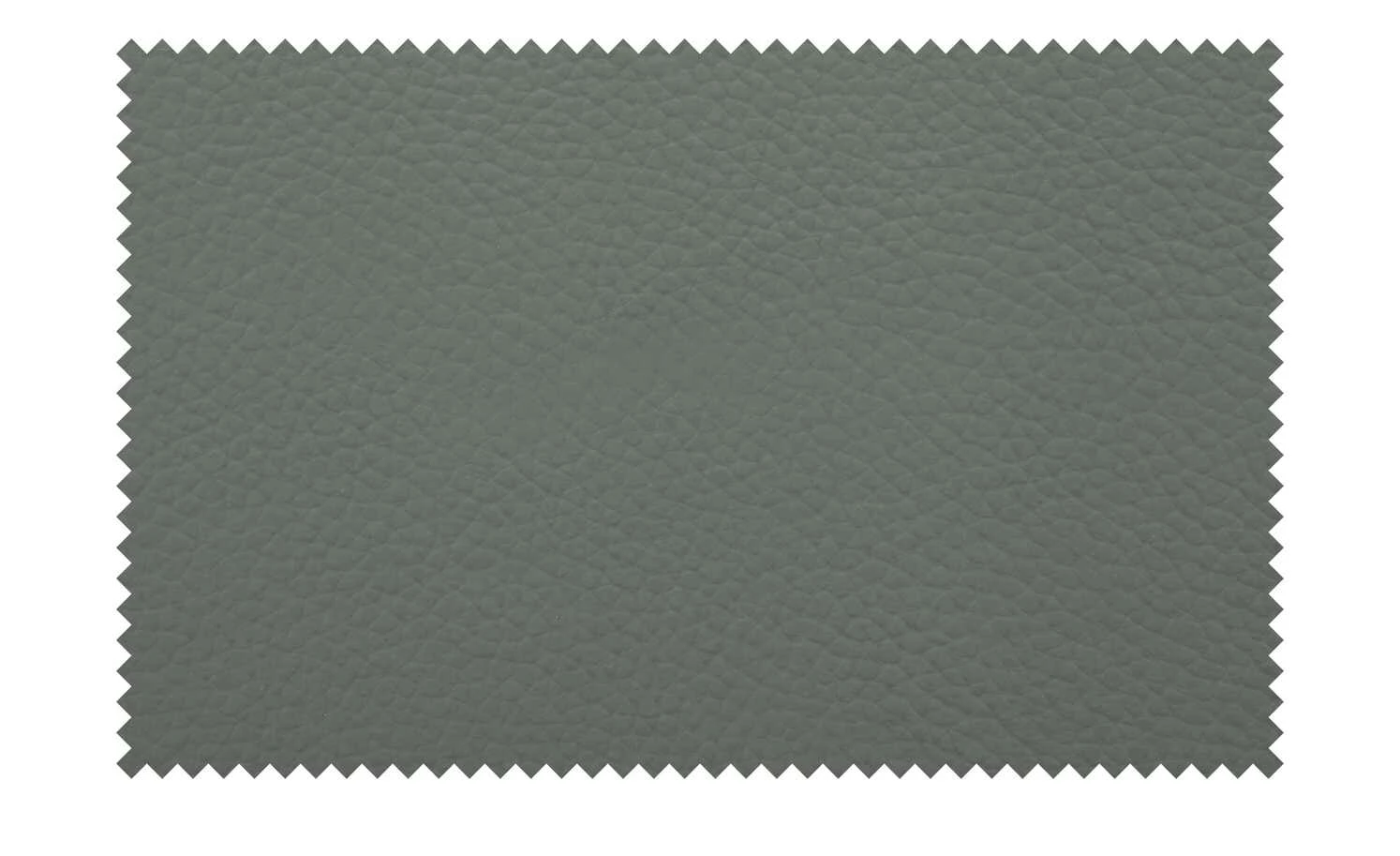 uno Leder-Freischwinger Sammy uno Leder-Freischwinger Sammy | Grau -Stühle Verkäufe 2022 14307590 3 202208311235