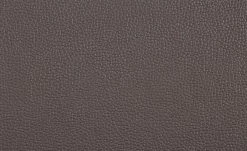 uno Freischwinger Letitia | Braun Kunstleder 6 uno Freischwinger Letitia | Braun Kunstleder -Stühle Verkäufe 2022 14307856 4 202101262258