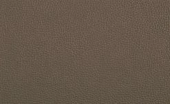 uno Freischwinger Letitia | Cappuccino Kunstleder -Stühle Verkäufe 2022 14307873 2 202102122236