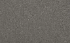 uno Freischwinger Letitia | Grau Kunstleder -Stühle Verkäufe 2022 14307874 5 202101262258