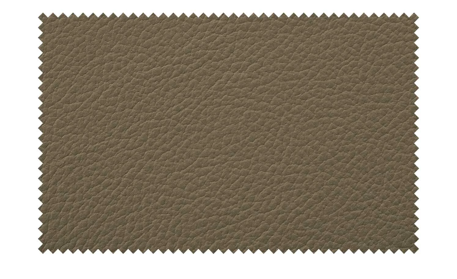 Woodford Leder-Polsterstuhl Marion Woodford Leder-Polsterstuhl Marion | Steingrau -Stühle Verkäufe 2022 14307906 10 202011132247