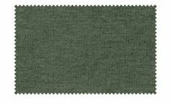 Wohnwert Polsterstuhl Jarvis | Verde (Dunkelgrün) Nein Schaumstoff -Stühle Verkäufe 2022 14309709 1 202106292232