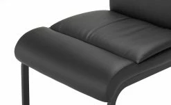 Schwingstuhl Hektor | Schwarz -Stühle Verkäufe 2022 15300215 4 202108031301