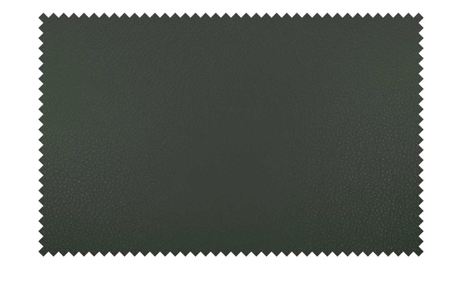 Wohnwert Leder-Schalenstuhl Jalto Wohnwert Leder-Schalenstuhl Jalto | Verde (Dunkelgrün) Nein -Stühle Verkäufe 2022 15301192 6 202107021243