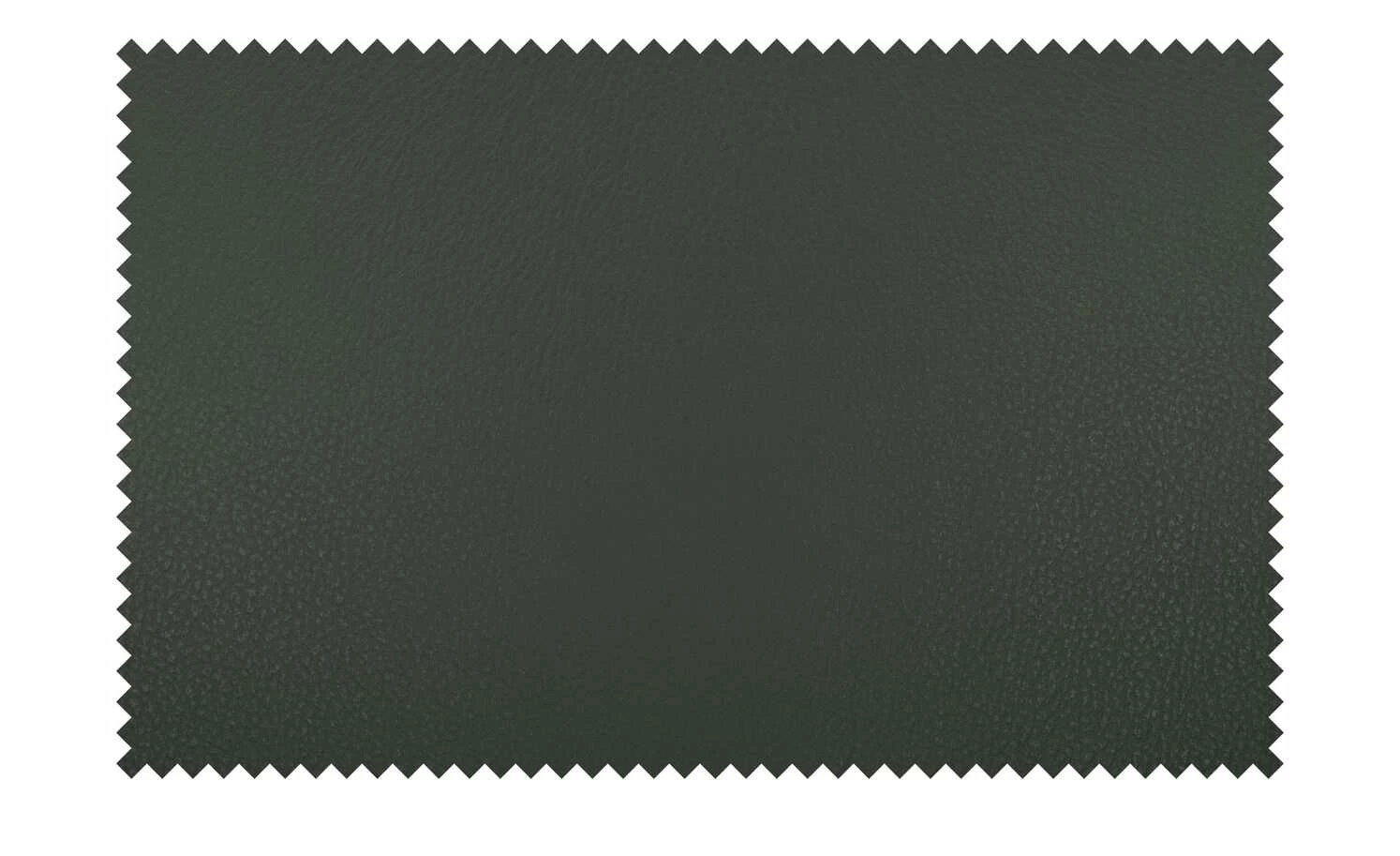 Wohnwert Leder-Schalenstuhl Jalto Wohnwert Leder-Schalenstuhl Jalto | Verde (Dunkelgrün) Ja -Stühle Verkäufe 2022 15301194 8 202107021243