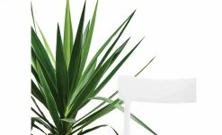 Connubia Stuhl stapelbar Argo | Schneeweiß 4 Connubia Stuhl stapelbar Argo | Schneeweiß -Stühle Verkäufe 2022 15304862 4 202111121257