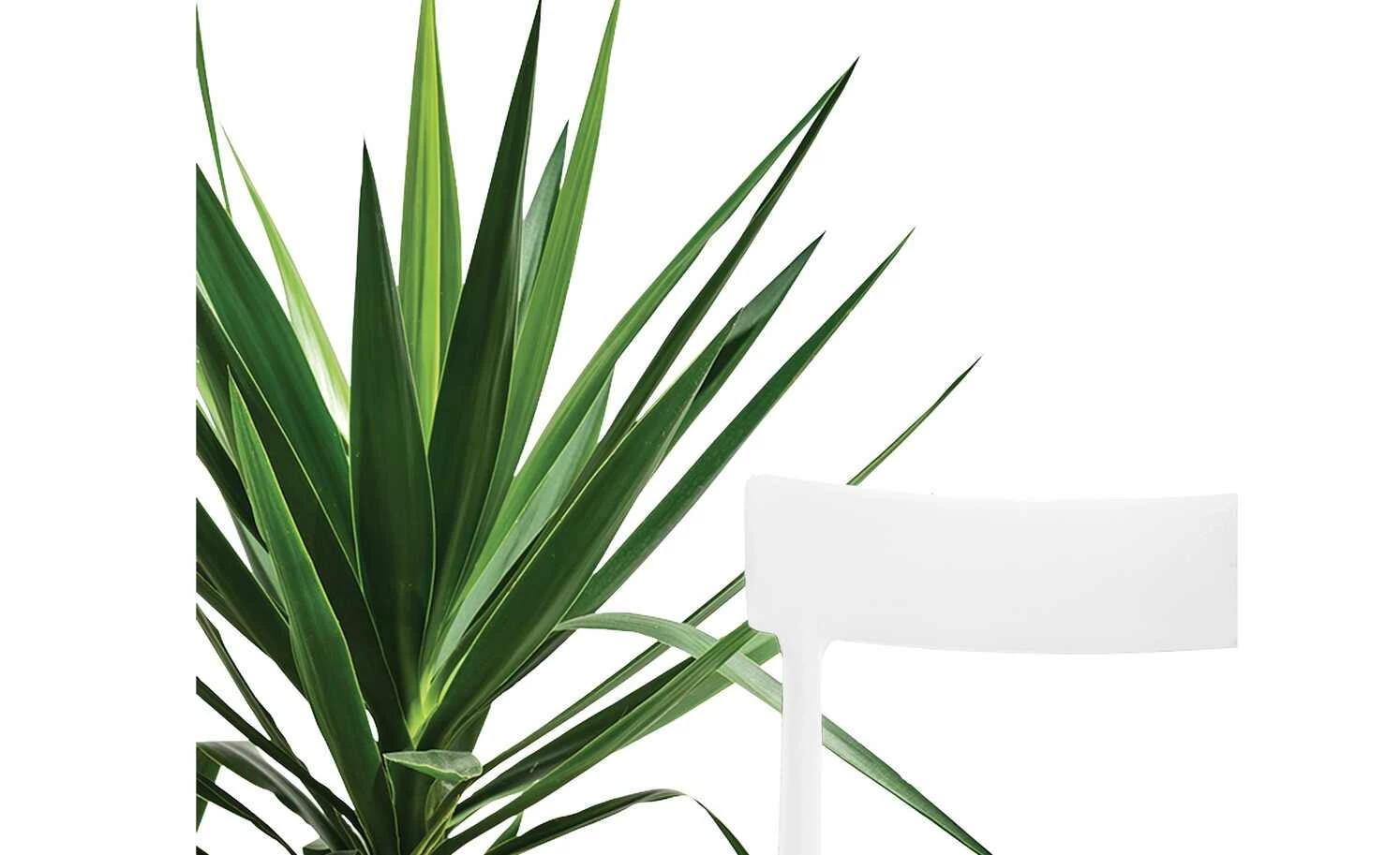 Connubia Stuhl stapelbar Argo Connubia Stuhl stapelbar Argo | Schneeweiß -Stühle Verkäufe 2022 15304862 4 202111121257