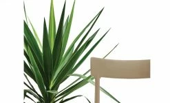 Connubia Stuhl stapelbar Argo | Haselnussbraun (Hellbraun) -Stühle Verkäufe 2022 15304864 4 202111121257