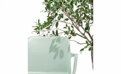 Connubia Stuhl stapelbar Bayo | Thymian (Hellgrün) Ja -Stühle Verkäufe 2022 15304886 4 202111152233