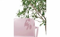 Connubia Stuhl stapelbar Bayo | Altrosa Ja 5 Connubia Stuhl stapelbar Bayo | Altrosa Ja -Stühle Verkäufe 2022 15304887 4 202111152233