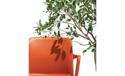 Connubia Stuhl stapelbar Bayo | Safran (Orange) Ja -Stühle Verkäufe 2022 15304888 3 202111152233