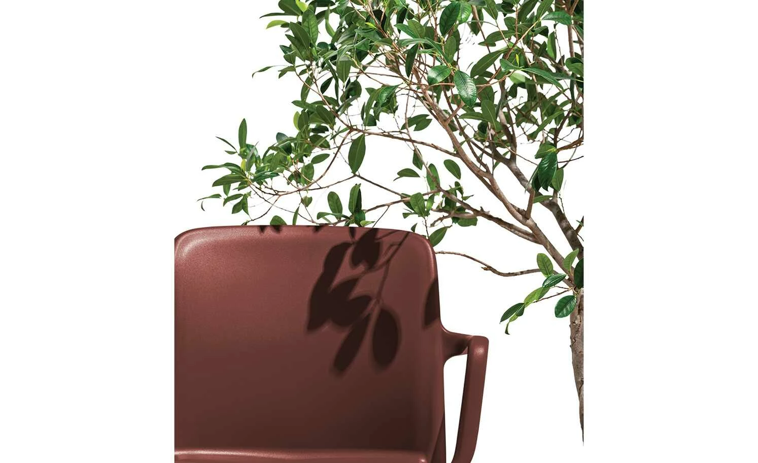 Connubia Stuhl stapelbar Bayo Connubia Stuhl stapelbar Bayo | Rot Oxid (Bordeaux) Ja -Stühle Verkäufe 2022 15304889 4 202111152233