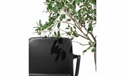 Connubia Stuhl stapelbar Bayo | Schwarz Ja -Stühle Verkäufe 2022 15304890 2 202111152233