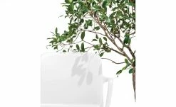 Connubia Stuhl stapelbar Bayo | Schneeweiß Ja -Stühle Verkäufe 2022 15304891 1 202111152233