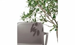 Connubia Stuhl stapelbar Bayo | Taubengrau Ja -Stühle Verkäufe 2022 15304892 5 202111152233